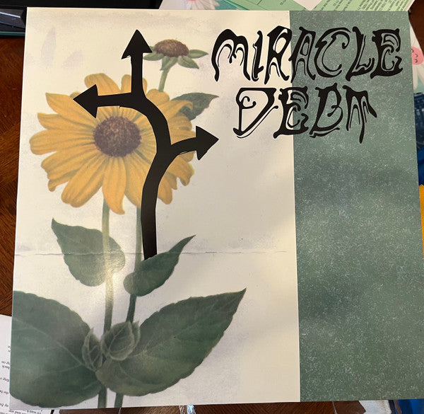 Miracle Debt : Under The Shadow (12", Album)